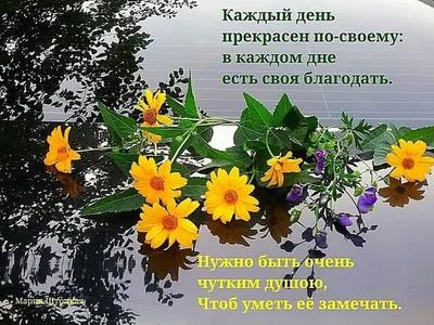 Пин от пользователя Валентина Лютвинская на доске 28 июля | Доброе утро, 28  июля