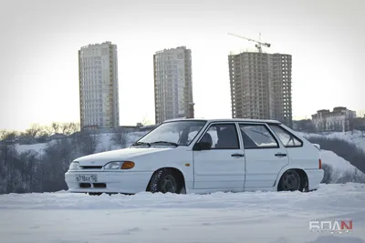 Наклейка бпан (37 лучших фото)