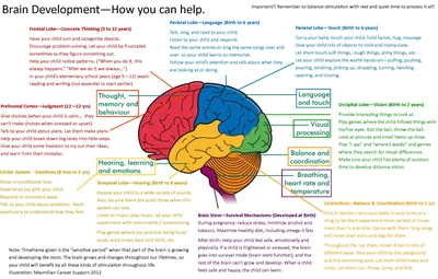 Map provides detailed picture of how the brain is organized – Washington  University School of Medicine in St. Louis