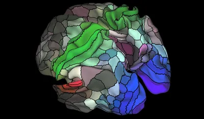 New Brain Map a Milestone in Understanding Mental Health Issues -  Elevations RTC