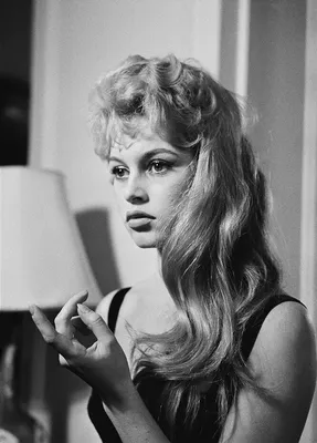 Брижит Бардо / Бриджит Бардо (Brigitte Bardot) :: Знаменитости :: красивая  девушка :: няша (Фото и рисунки милых девушек привлекательной наружности -  настоящие няши) :: блондинка :: девушка :: Brigitte Bardot ::