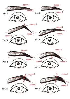 Формы бровей: как подобрать нужную? - 