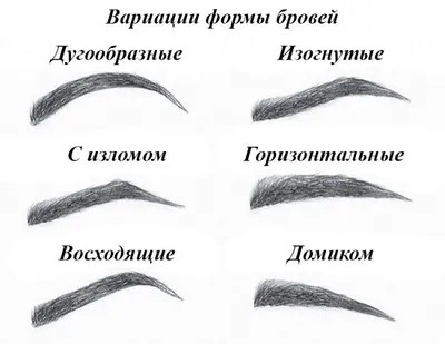 Как правильно сделать форму бровей, чтобы подчеркнуть достоинства лица? -  Brovka