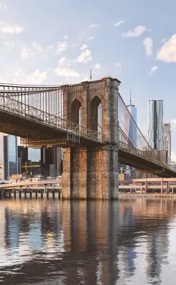 Бруклинский мост - Работа из галереи 3D Моделей