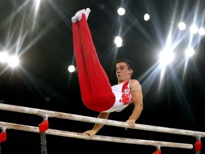 Брусья гимнастические мужские классические параллельные по выгодной цене -  купить недорого в Москве