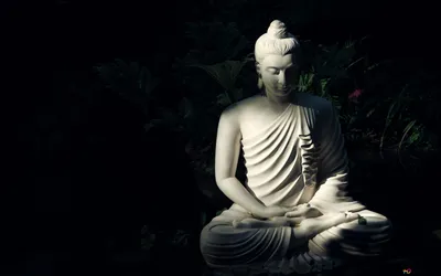 Религия веры Будды в тайском храме изображение_Фото номер 501593606_JPG  Формат изображения_