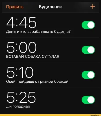 Как просыпаться без будильника ? | Пикабу