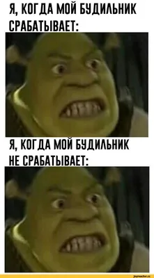 Погоди, я думаю, ты забыл поставить будильник на утро ^ Нет, я уже проверил  это дважды / будильник :: окр :: Смешные комиксы (веб-комиксы с юмором и их  переводы) / смешные картинки