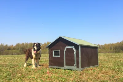 BAMA PET будка для собак BUNGALOW M, пластик, бежевая