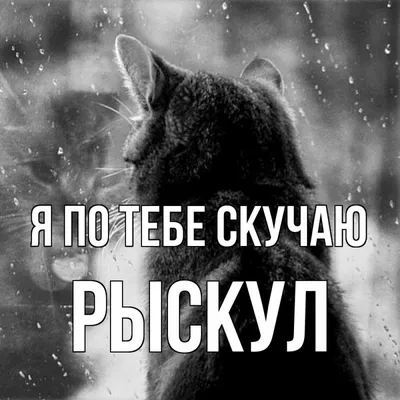 Зимние песни о главном. Я буду скучать без тебя зима | Бард-Дзен | Дзен