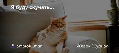 Я буду скучать...