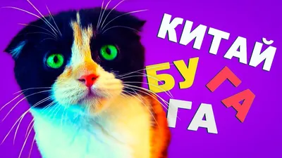 BuGaGa Костюм праздничный нарядный классический годик