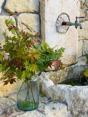 Осенний декор своими руками: 9 идей домашнего декора из разноцветных листьев