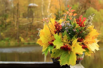 Букет осенних цветов – купить с доставкой в Москве. Цена ниже!