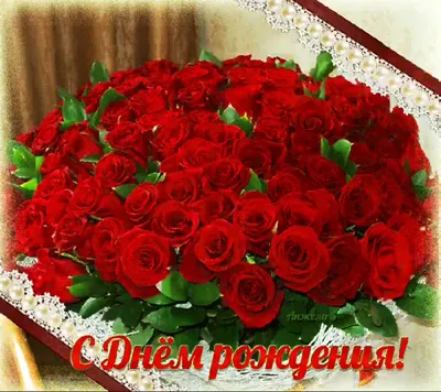 Купить букет из 25 кремовых роз 70 см по доступной цене с доставкой в  Москве и области в интернет-магазине Город Букетов