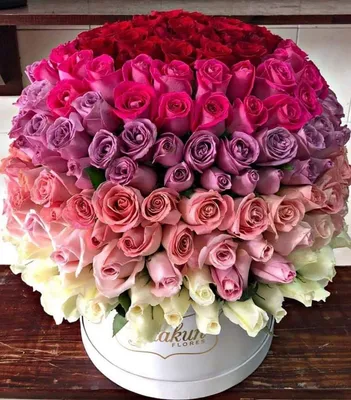 Only Rose — идеальный букет из роз | Купить букет из свежесрезанных розовых  роз «Комплимент №5»