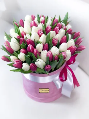 Открытки с днем рождения с тюльпанами - скачайте бесплатно на 