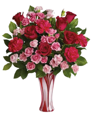 GIFS HERMOSOS: flores encontradas en la web | Flower delivery, Beautiful  flowers, Beautiful rose flowers