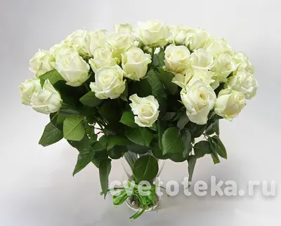 Живые цветы в вазе - красивые фото