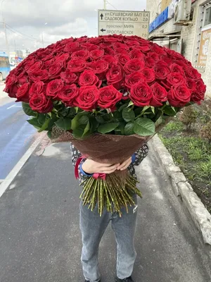 Купить трехцветный букет из 101 розы с доставкой в Днепре от Royal-Flowers