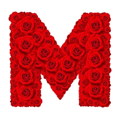 Изображения, похожие на 96603568 Rose alphabet set - Alphabet capital  letter R made from red rose | Fancy letters, Stylish alphabets, Red roses