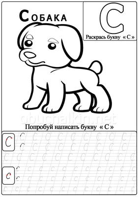 Прописи для дошкольников - буква С - Я могу писать - 