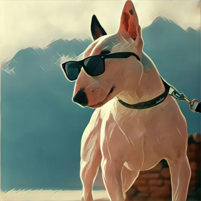 бультерьер рисунки бультерьер вектор - +7 DataBase #yandeximages | Bull  terrier, Bull terrier art, Bull terrier dog