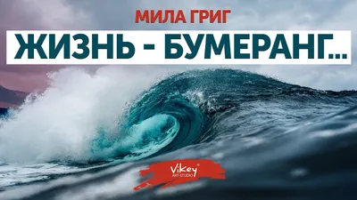 Что означает "карманический бумеранг"? - Вопрос о Русский | HiNative