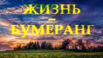 Бумеранг — на самом деле, он почти никогда не возвращается!» — Яндекс Кью