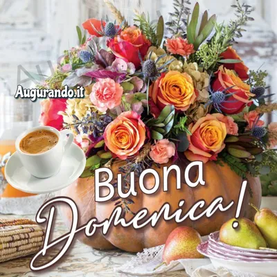 Buona giornata #40