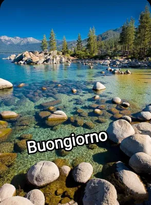 900+ Buongiorno-Ideen in 2023 | guten morgen, grüße, italienische grüße