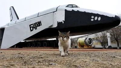 Soviet Space Shuttle 'Buran' abandoned in a hangar in Kazakhstan. : r/space