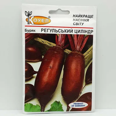 Користь від вживання червоного буряка: 5 плюсів для здоров'я