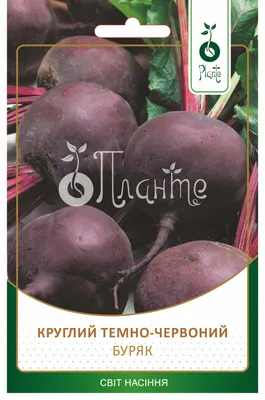 Як буряк може допомогти покращити здоров'я | Центр громадського здоров'я