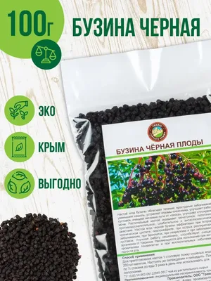 Бузина черная Аурея (Sumbucus nigra Aurea)