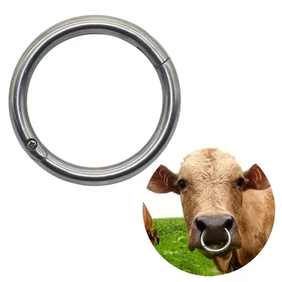 Зачем быкам вставляют кольцо в нос, и почему корову нельзя не доить -  YouTube