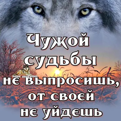 Быть человеком. Преодоление разрыва между науками о теле и науками о душе.  Медикус Герхард - купить книгу с доставкой | Майшоп