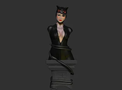 Catwoman 56 картинок