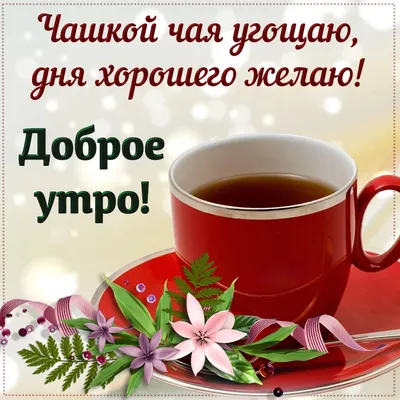 Пин от пользователя Irina Volkova на доске Доброе утро | Кофейные карточки, Доброе  утро, Утренние цитаты