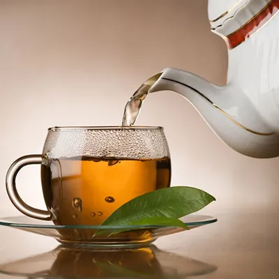 Каким людям опасно пить травяной чай — 