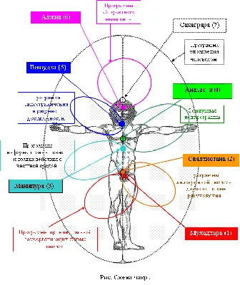 Чакры человека: называния, что из себя представляют и как с ними работать?