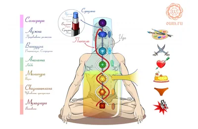 Чакры картинки - 67 фото
