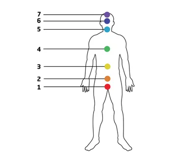 Что такое чакры: учимся активировать энергетические центры человека | World  Fashion Channel