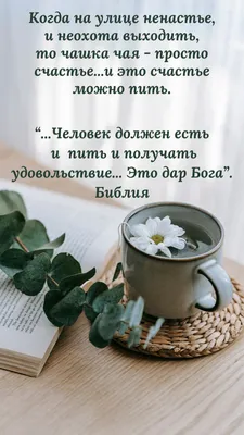 Кружка Сотвори Чудо "Я тебя люблю", 350 мл, 1 шт - купить по доступным  ценам в интернет-магазине OZON (528269247)