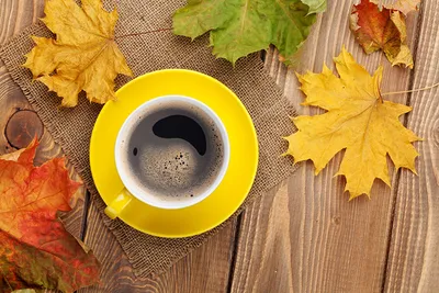 Осенний день чашка кофе листья комнатная книга фотография карта с  картинками Фон И картинка для бесплатной загрузки - Pngtree