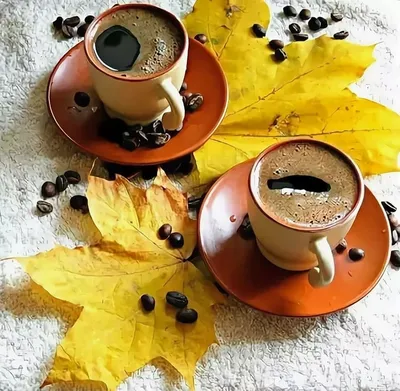 Фотография Листья Кофе Осень Еда чашке Доски