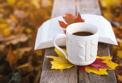 Чашка кофе с опавшими листьями на деревянном столе осенью клен Фон И  картинка для бесплатной загрузки - Pngtree