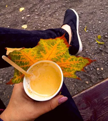 С чашкой кофе в руке куда интереснее осень 🍁 | Осень, Рецепты, Кофе