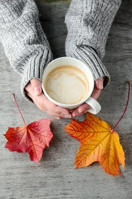 Чашка кофе в руках и осенние листья на деревянном столе | Премиум Фото