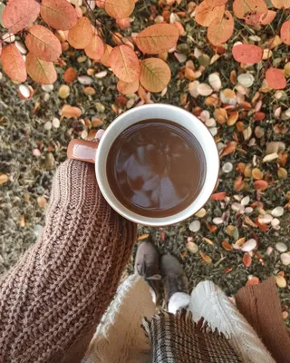 Обои цветы, wood, flowers, сирень, coffee cup, lilac, чашка кофе картинки  на рабочий стол, раздел цветы - скачать